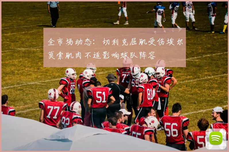 全市场动态：切利克屈肌受伤埃尔莫索肌肉不适影响球队阵容