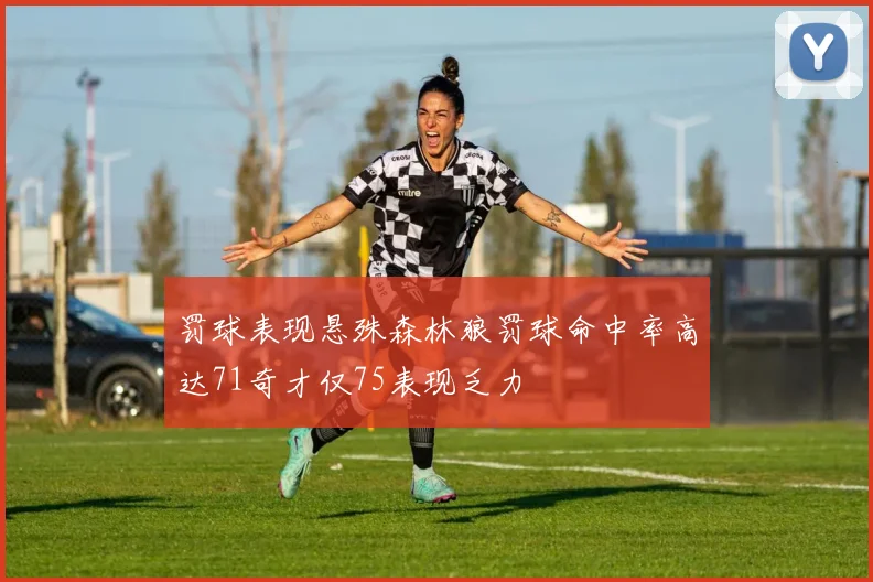 罚球表现悬殊森林狼罚球命中率高达71奇才仅75表现乏力